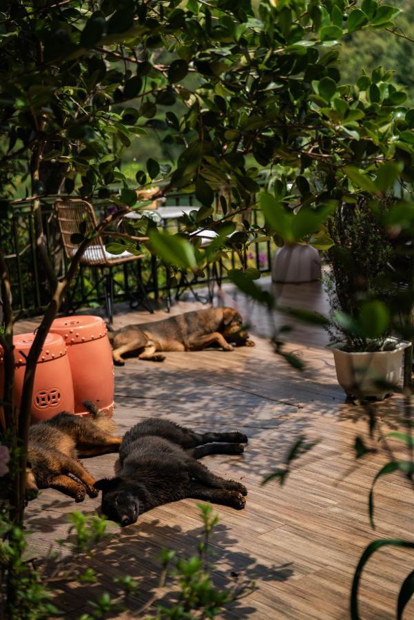 Zen Cafe Lakeside Νταλάτ Εξωτερικό φωτογραφία